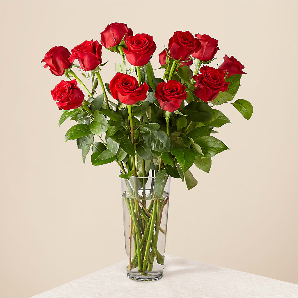 Long Stem Red Rose Bouquet – THE MOST BLOOMS & MORE, Grand Bay AL