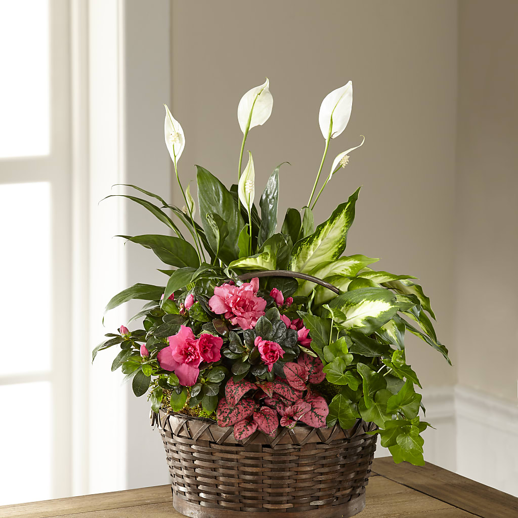 Dream in Pink Dishgarden – THE MOST BLOOMS & MORE, Grand Bay AL