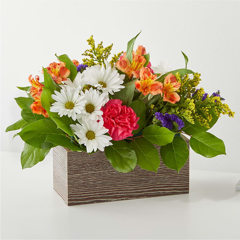 Oopsie Daisy Box Bouquet – THE MOST BLOOMS & MORE, Grand Bay AL
