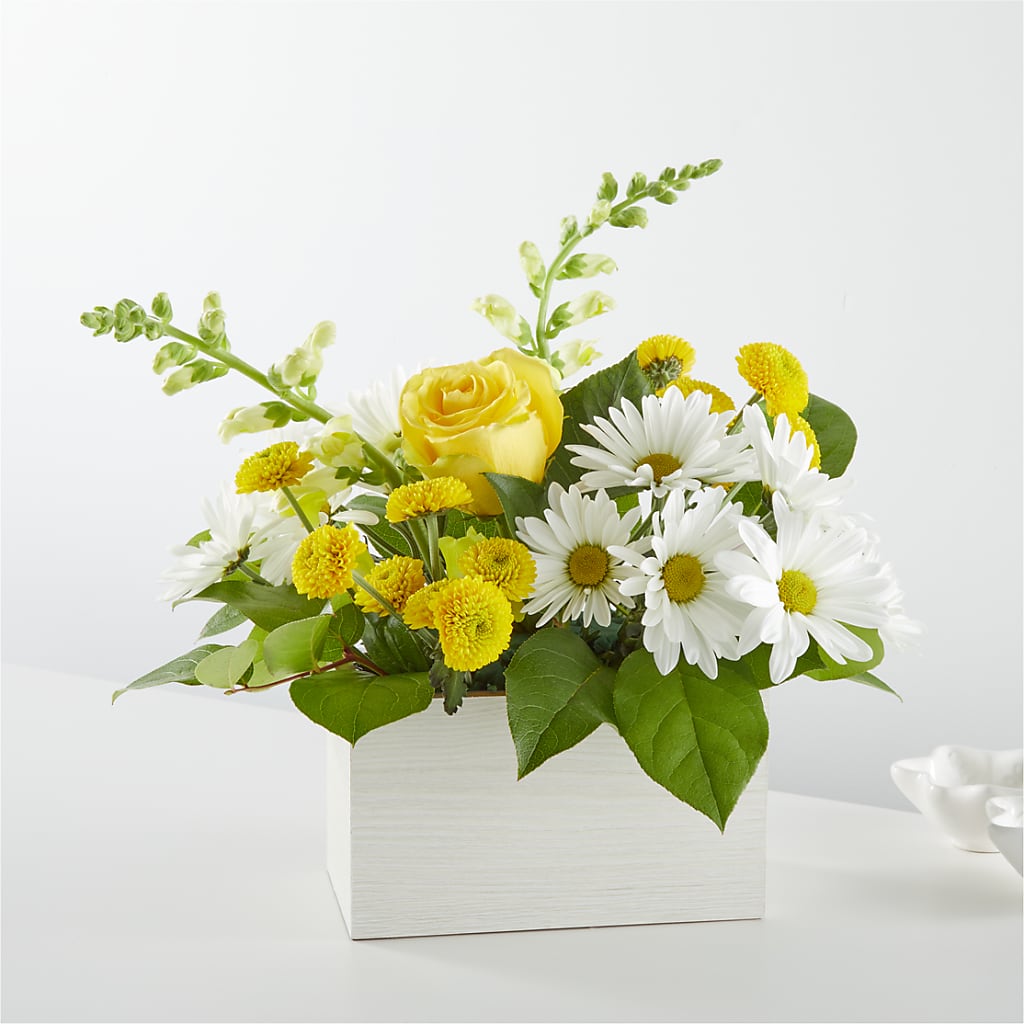 Sun Salutation Box Bouquet – THE MOST BLOOMS & MORE, Grand Bay AL