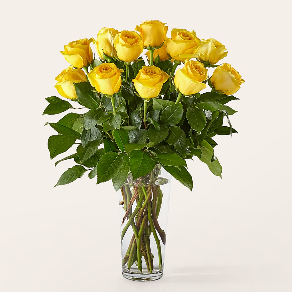Long Stem Yellow Rose Bouquet – THE MOST BLOOMS & MORE, Grand Bay AL