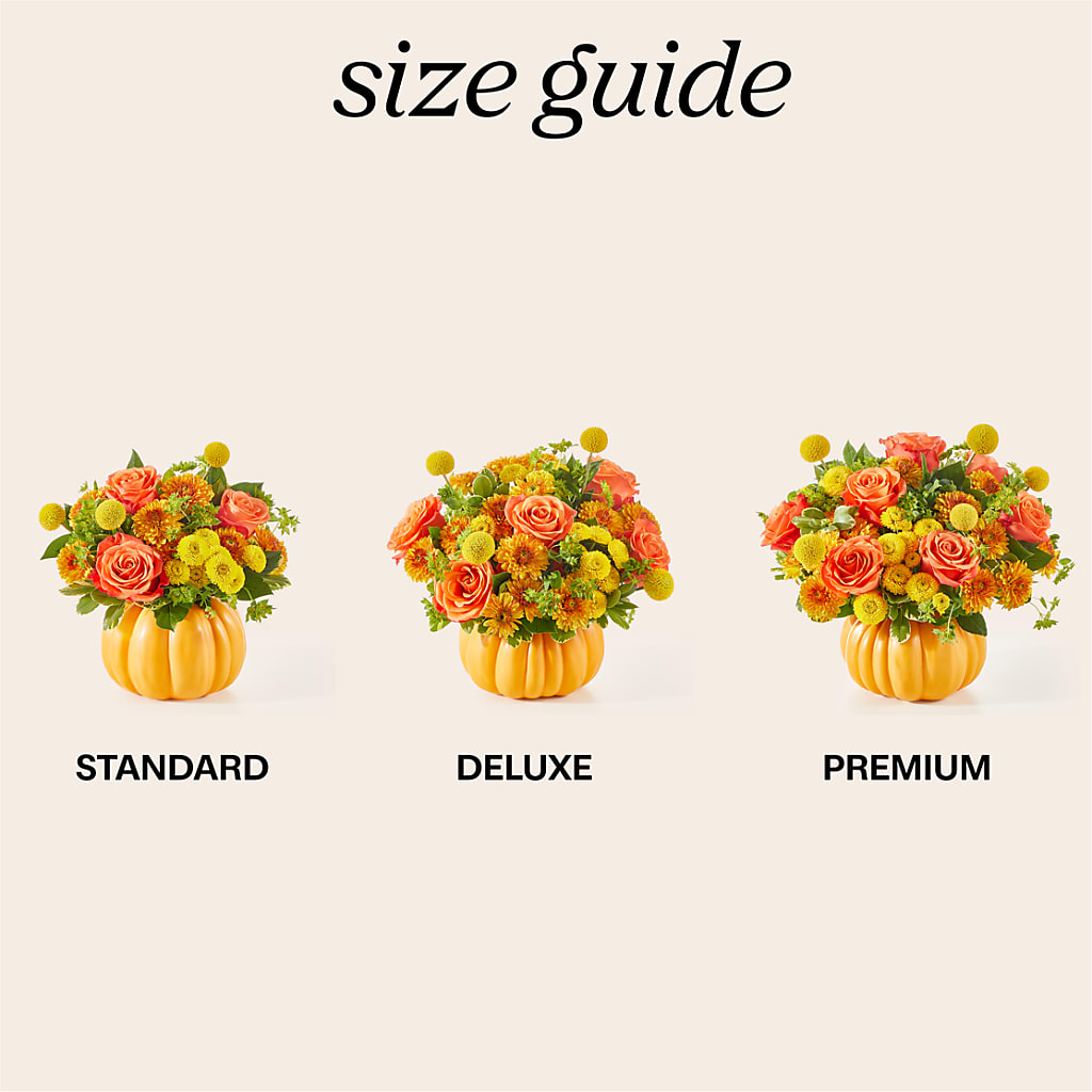 Gourdgeous Pumpkin – THE MOST BLOOMS & MORE, Grand Bay AL