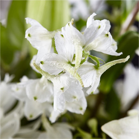 Classic Ivory – A Florist Original – THE MOST BLOOMS & MORE, Grand Bay AL