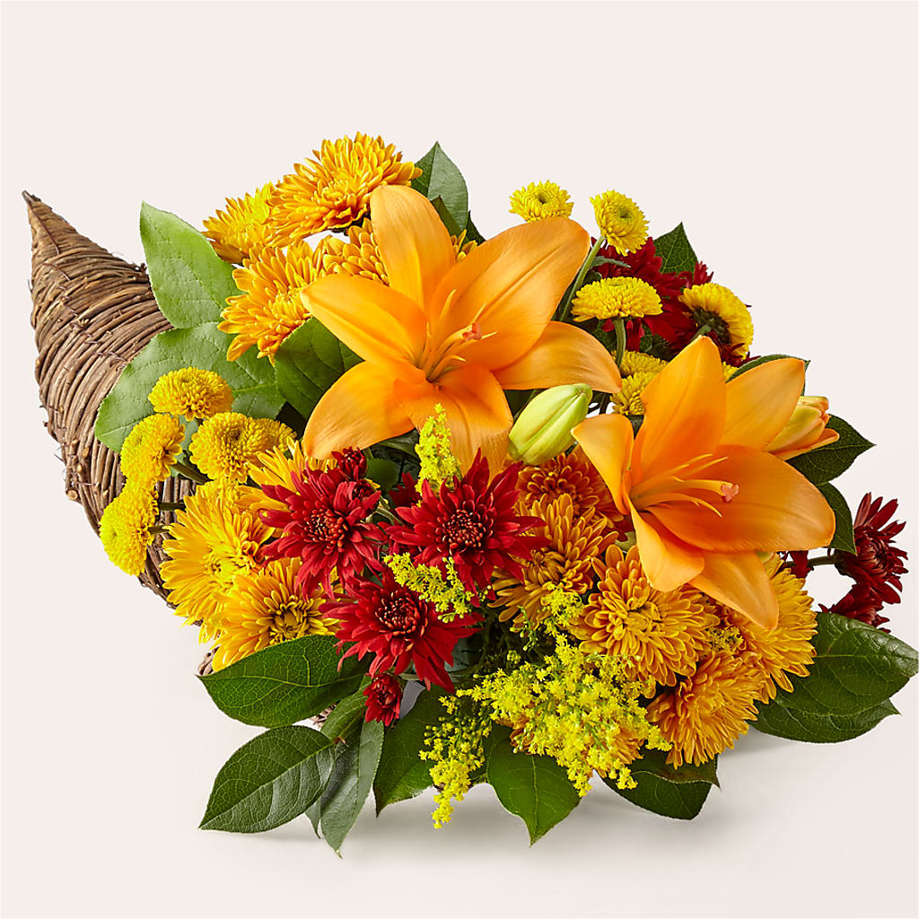 Feast of Color Cornucopia – THE MOST BLOOMS & MORE, Grand Bay AL