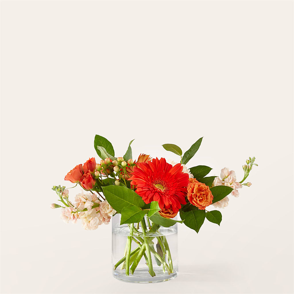 Paloma Please Bouquet – THE MOST BLOOMS & MORE, Grand Bay AL