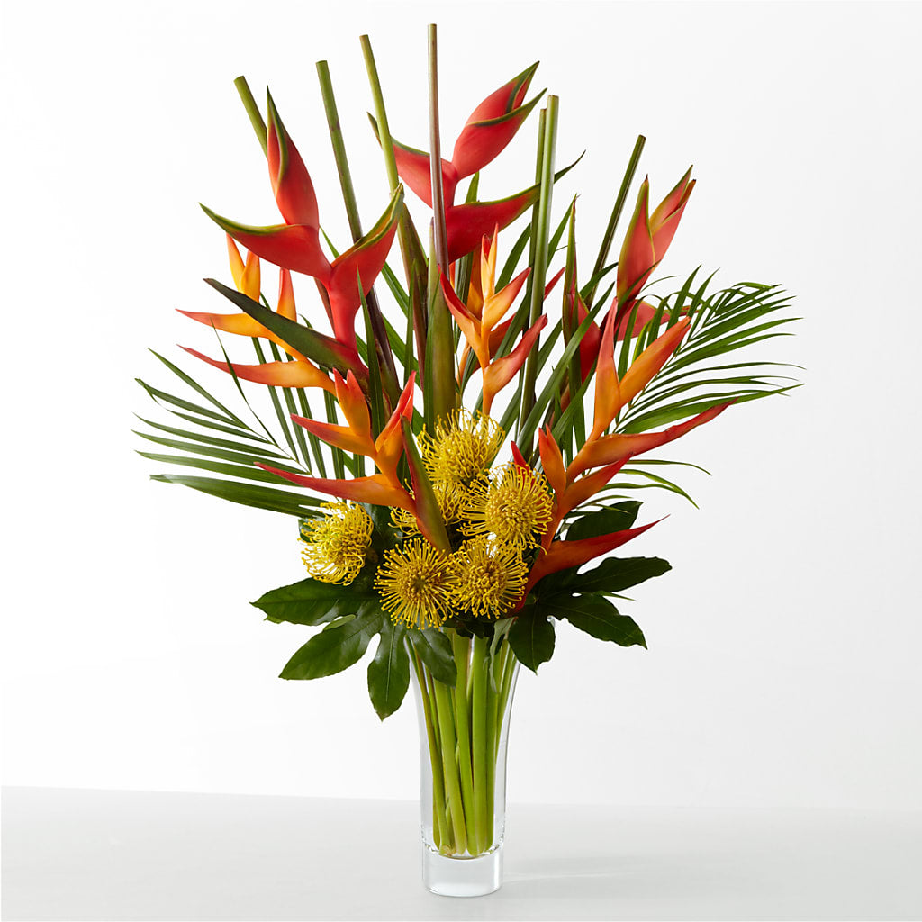The Drama – THE MOST BLOOMS & MORE, Grand Bay AL
