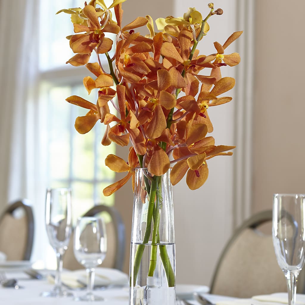 Orange Mokara Bud Vase – THE MOST BLOOMS & MORE, Grand Bay AL