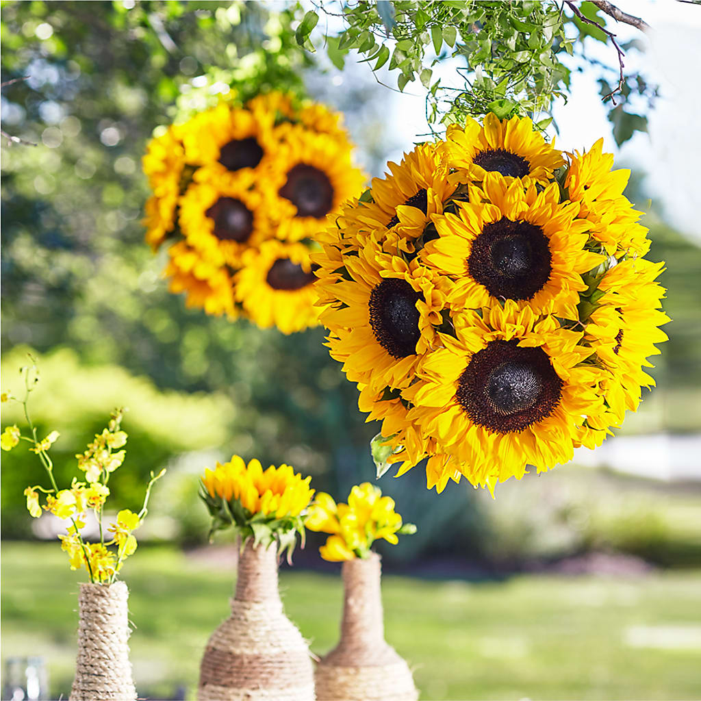 Sublime Garden Hanging Arrangement – THE MOST BLOOMS & MORE, Grand Bay AL