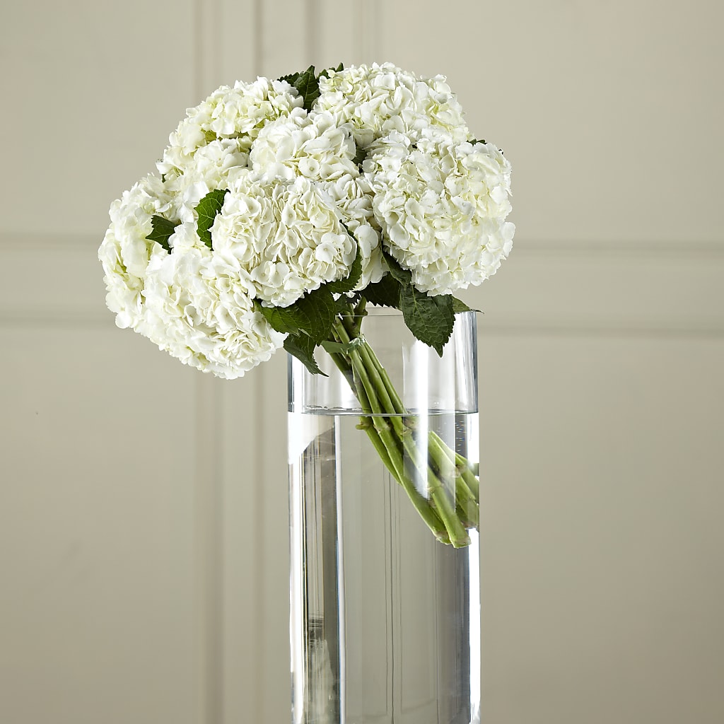 White Hydrangea Hand-Tied Bouquet – THE MOST BLOOMS & MORE, Grand Bay AL