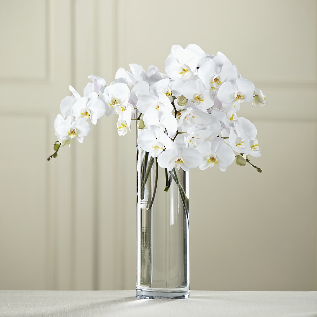 White Phalaenopsis Bouquet – THE MOST BLOOMS & MORE, Grand Bay AL