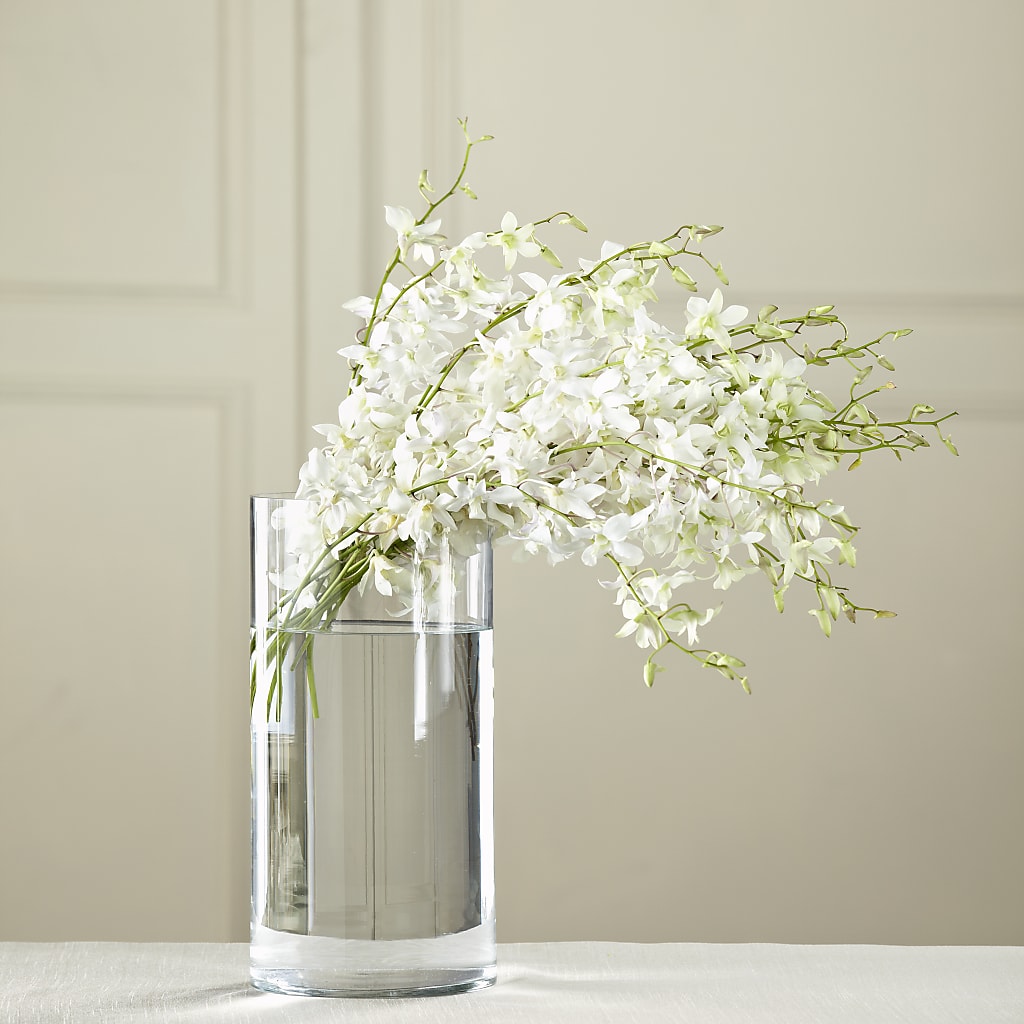 White Dendrobium Bouquet – THE MOST BLOOMS & MORE, Grand Bay AL