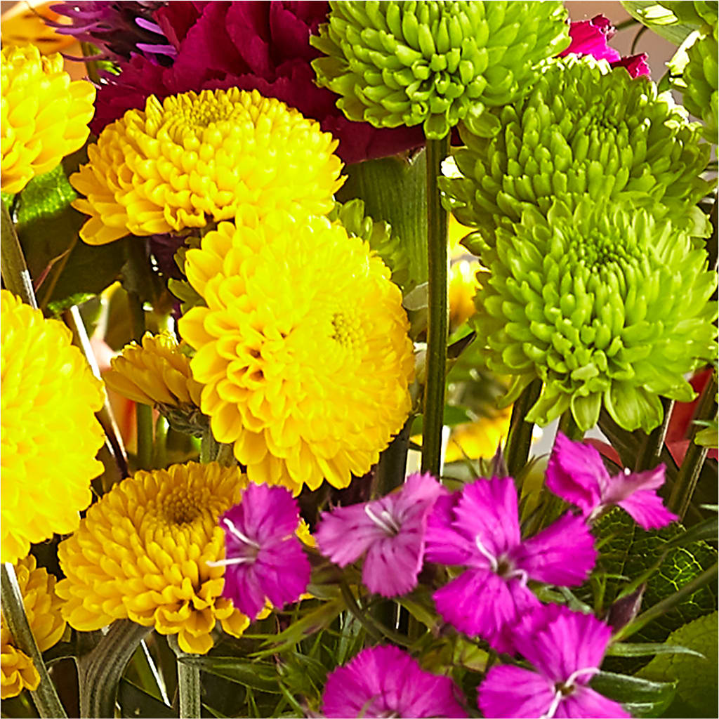 Bold & Bright – A Florist Original – THE MOST BLOOMS & MORE, Grand Bay AL