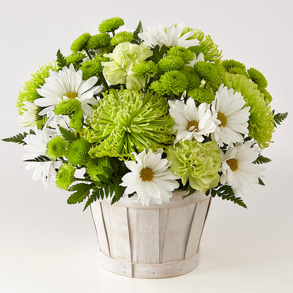 Lucky Charm Basket (Standard) – THE MOST BLOOMS & MORE, Grand Bay AL