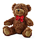 Adorable Plush Bear – THE MOST BLOOMS & MORE, Grand Bay AL