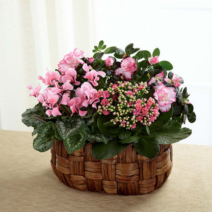 Pink Assortment – THE MOST BLOOMS & MORE, Grand Bay AL