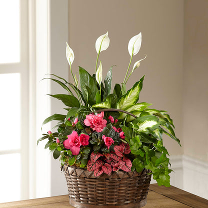 Dream in Pink Dishgarden – THE MOST BLOOMS & MORE, Grand Bay AL