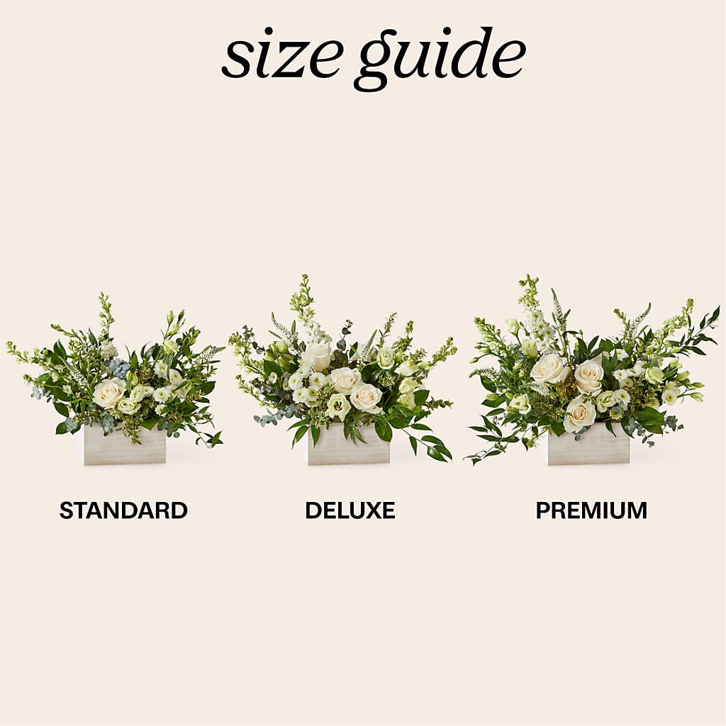 Cashmere Bouquet – THE MOST BLOOMS & MORE, Grand Bay AL