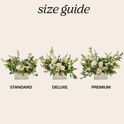 Cashmere Bouquet – THE MOST BLOOMS & MORE, Grand Bay AL