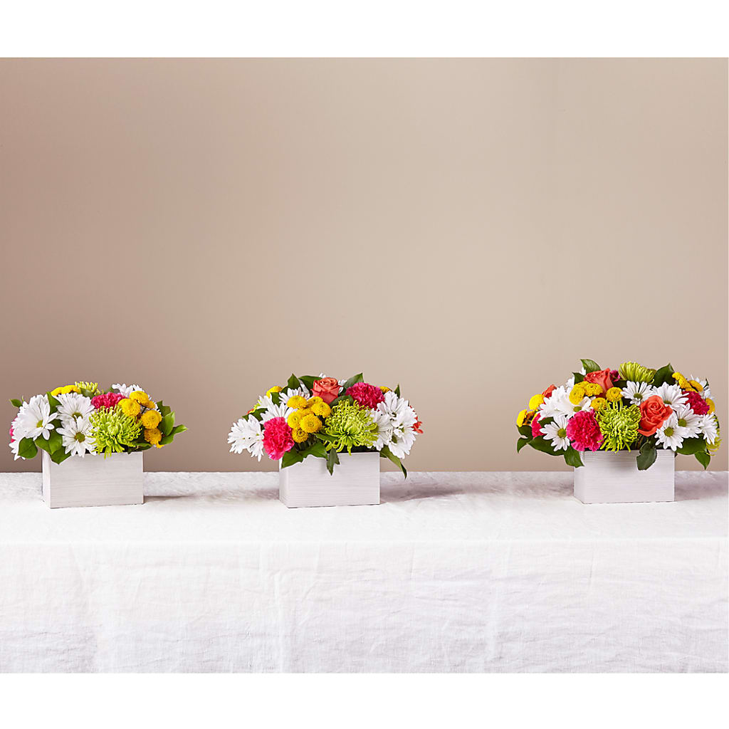 Sorbet Bouquet – THE MOST BLOOMS & MORE, Grand Bay AL