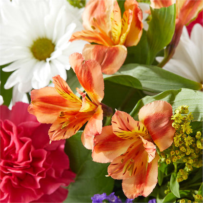 Oopsie Daisy Box Bouquet – THE MOST BLOOMS & MORE, Grand Bay AL