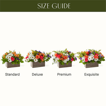 Oopsie Daisy Box Bouquet – THE MOST BLOOMS & MORE, Grand Bay AL