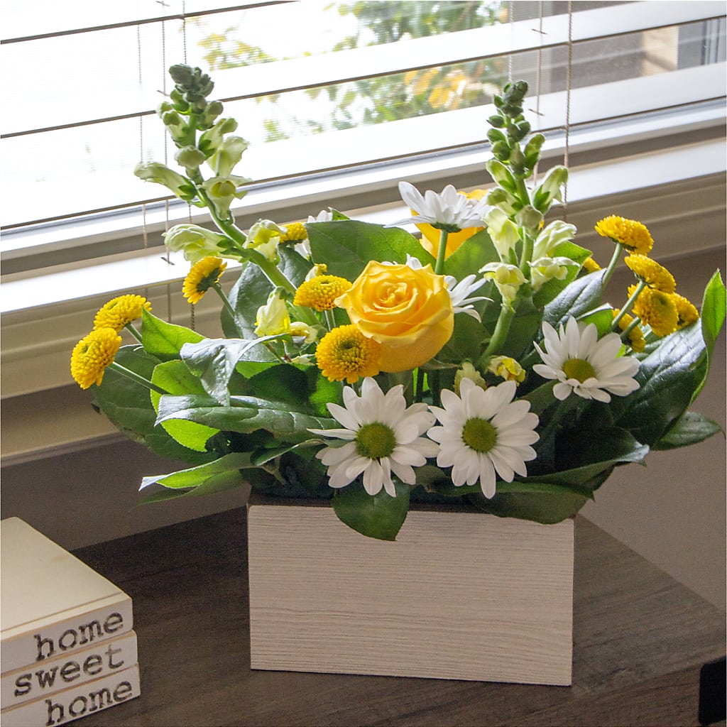 Sun Salutation Box Bouquet – THE MOST BLOOMS & MORE, Grand Bay AL