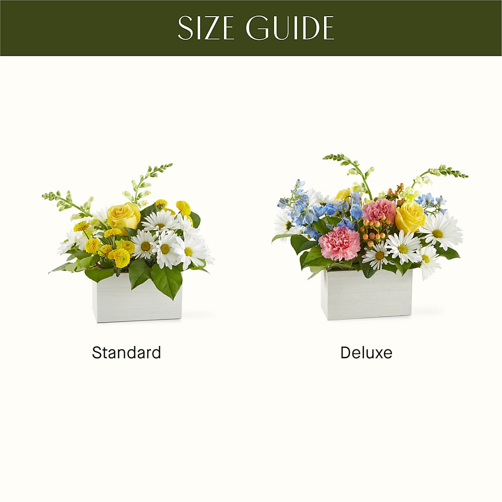 Sun Salutation Box Bouquet – THE MOST BLOOMS & MORE, Grand Bay AL
