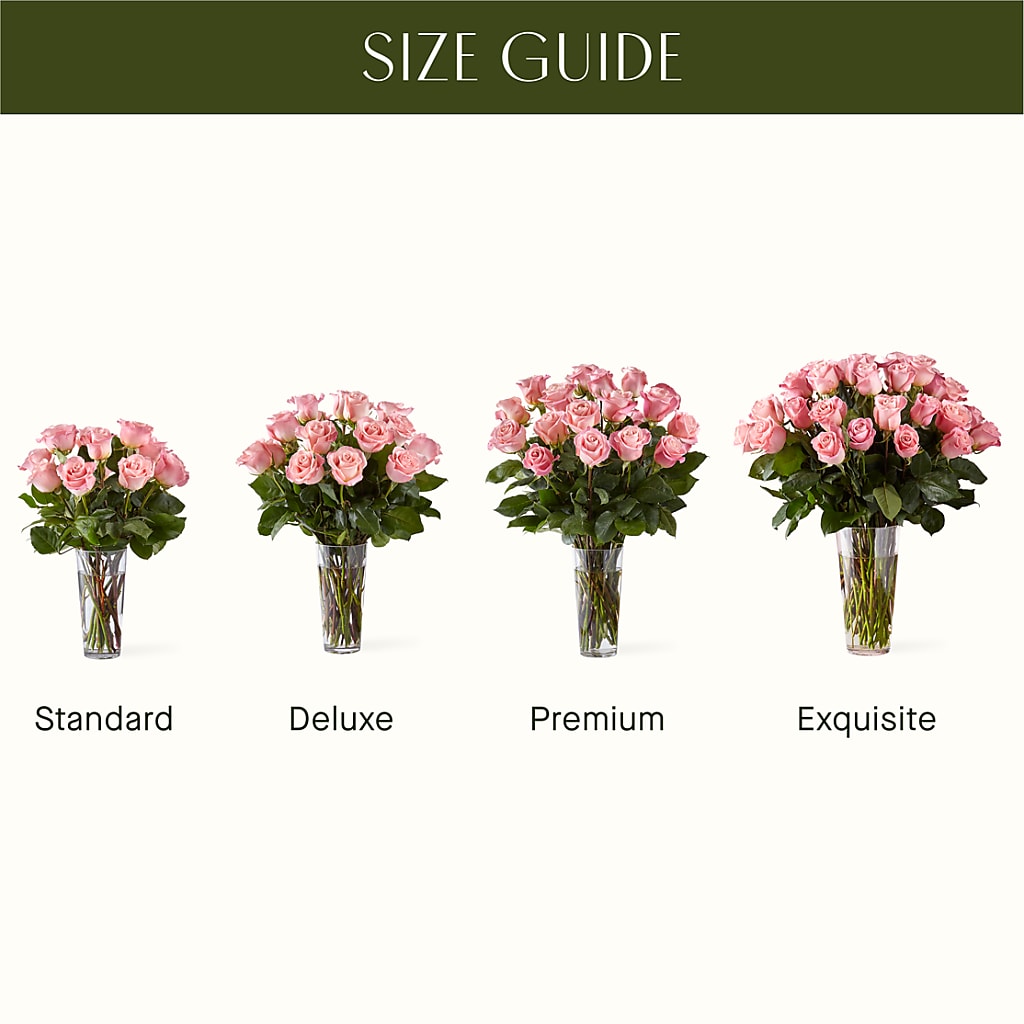 Long Stem Pink Rose Bouquet – THE MOST BLOOMS & MORE, Grand Bay AL