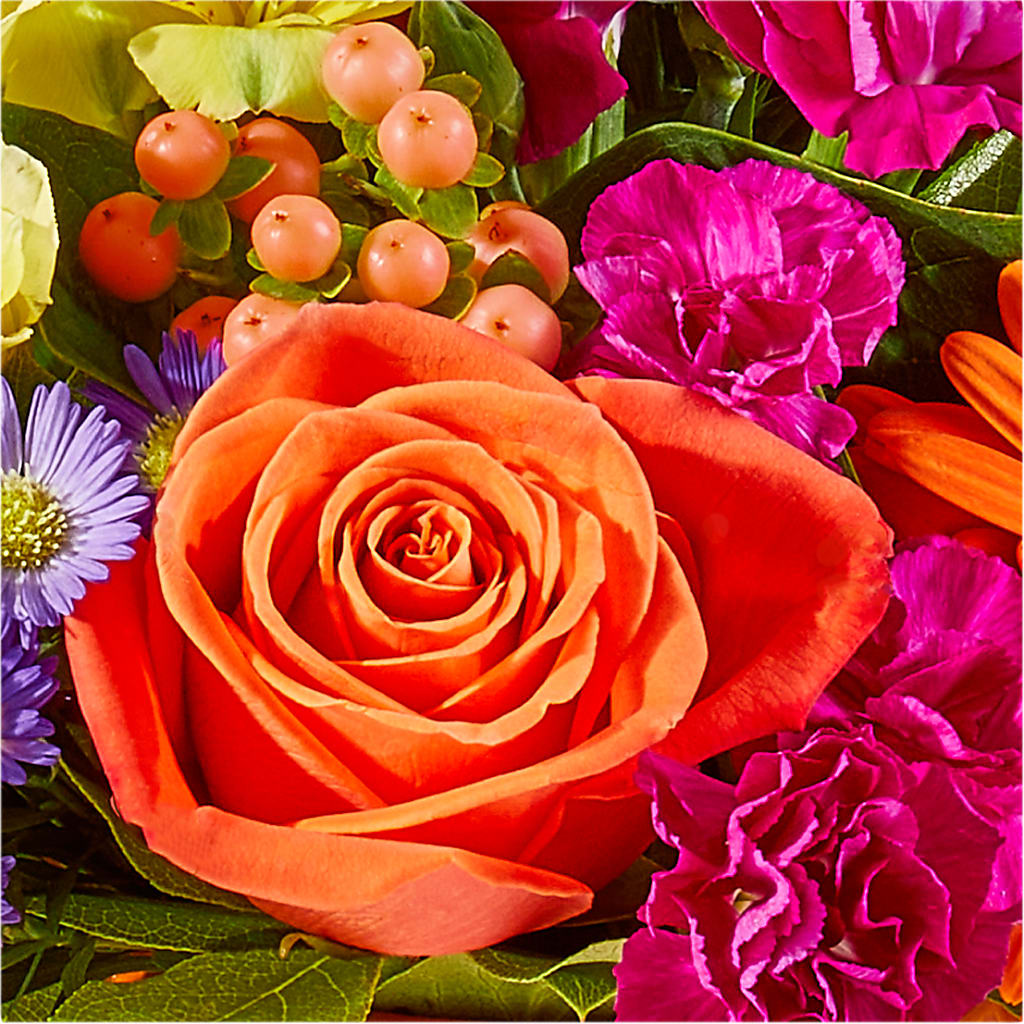 Tricks & Treats Pumpkin – THE MOST BLOOMS & MORE, Grand Bay AL