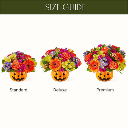 Tricks & Treats Pumpkin – THE MOST BLOOMS & MORE, Grand Bay AL