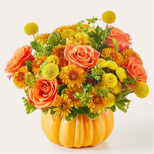 Gourdgeous Pumpkin – THE MOST BLOOMS & MORE, Grand Bay AL
