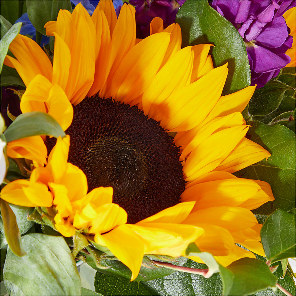 Catching Rays Bouquet – THE MOST BLOOMS & MORE, Grand Bay AL