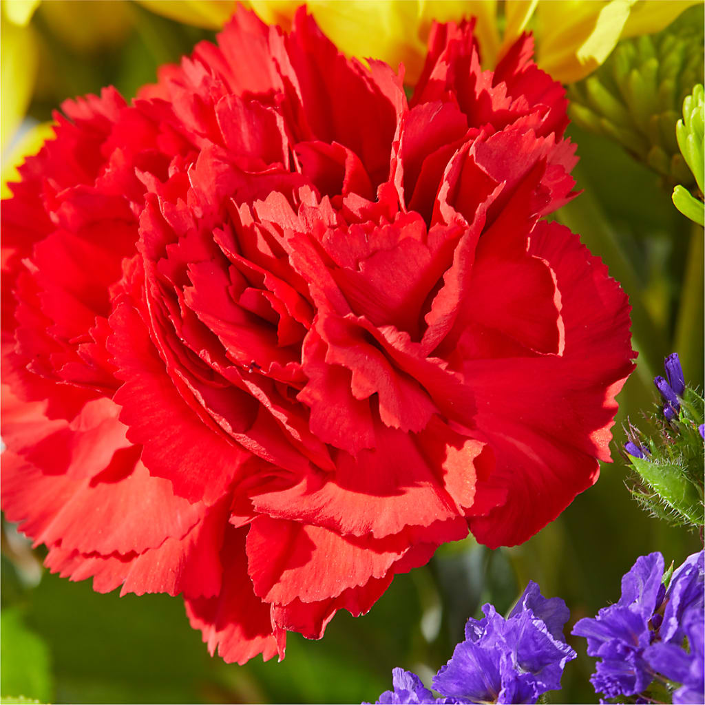 Brighter Days Bouquet – THE MOST BLOOMS & MORE, Grand Bay AL