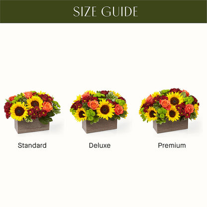 Happy Harvest Garden – THE MOST BLOOMS & MORE, Grand Bay AL