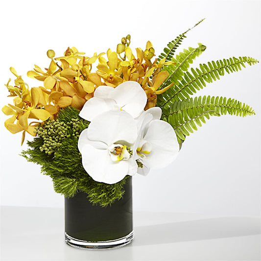 The Tropics – THE MOST BLOOMS & MORE, Grand Bay AL