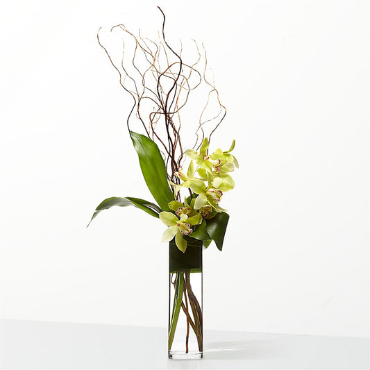 The Statement – THE MOST BLOOMS & MORE, Grand Bay AL