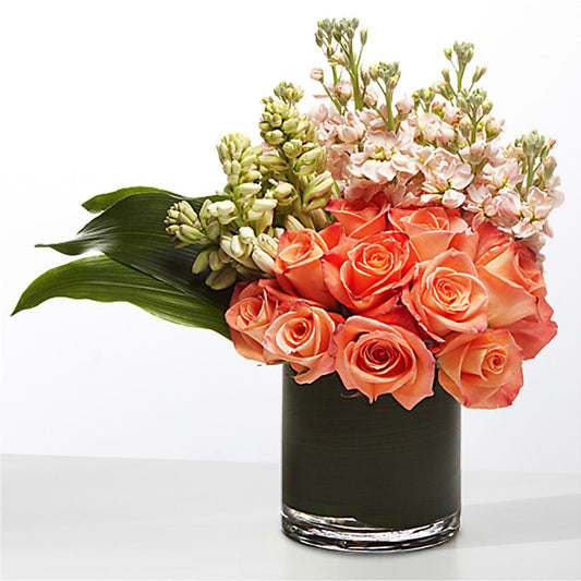 The Moment – THE MOST BLOOMS & MORE, Grand Bay AL