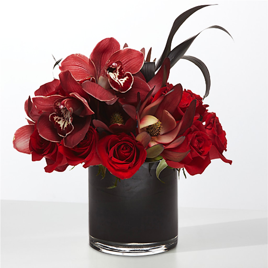 The Eclipse – THE MOST BLOOMS & MORE, Grand Bay AL