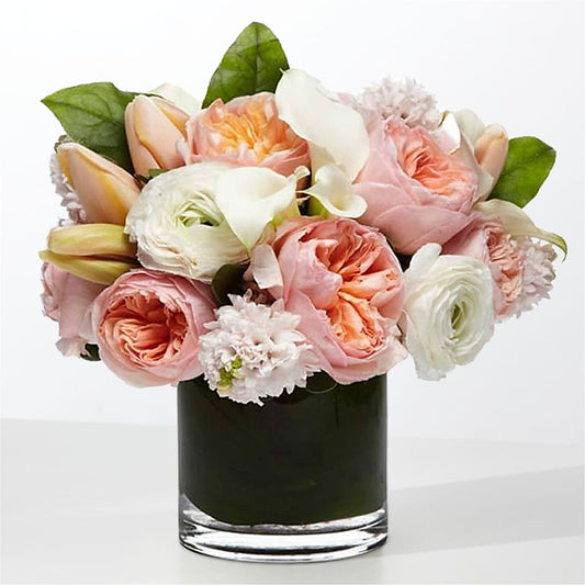 The Destiny – THE MOST BLOOMS & MORE, Grand Bay AL