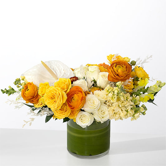 The Optimist – THE MOST BLOOMS & MORE, Grand Bay AL
