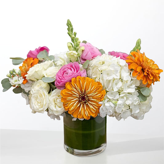 The Meet Cute – THE MOST BLOOMS & MORE, Grand Bay AL