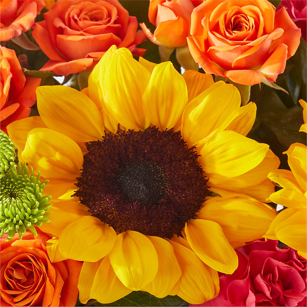 Sun-drenched Blooms Box Bouquet – THE MOST BLOOMS & MORE, Grand Bay AL