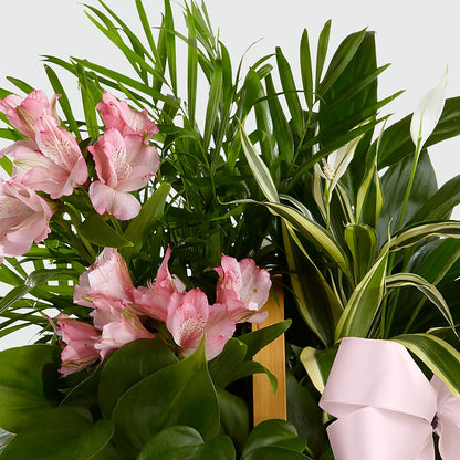 Living Spirit Dishgarden – THE MOST BLOOMS & MORE, Grand Bay AL