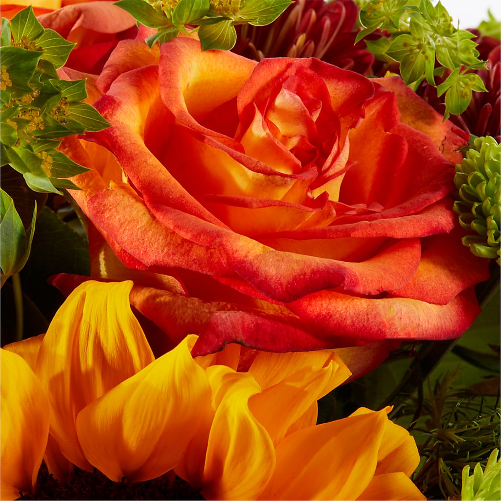 Harvest Festival Bouquet – THE MOST BLOOMS & MORE, Grand Bay AL