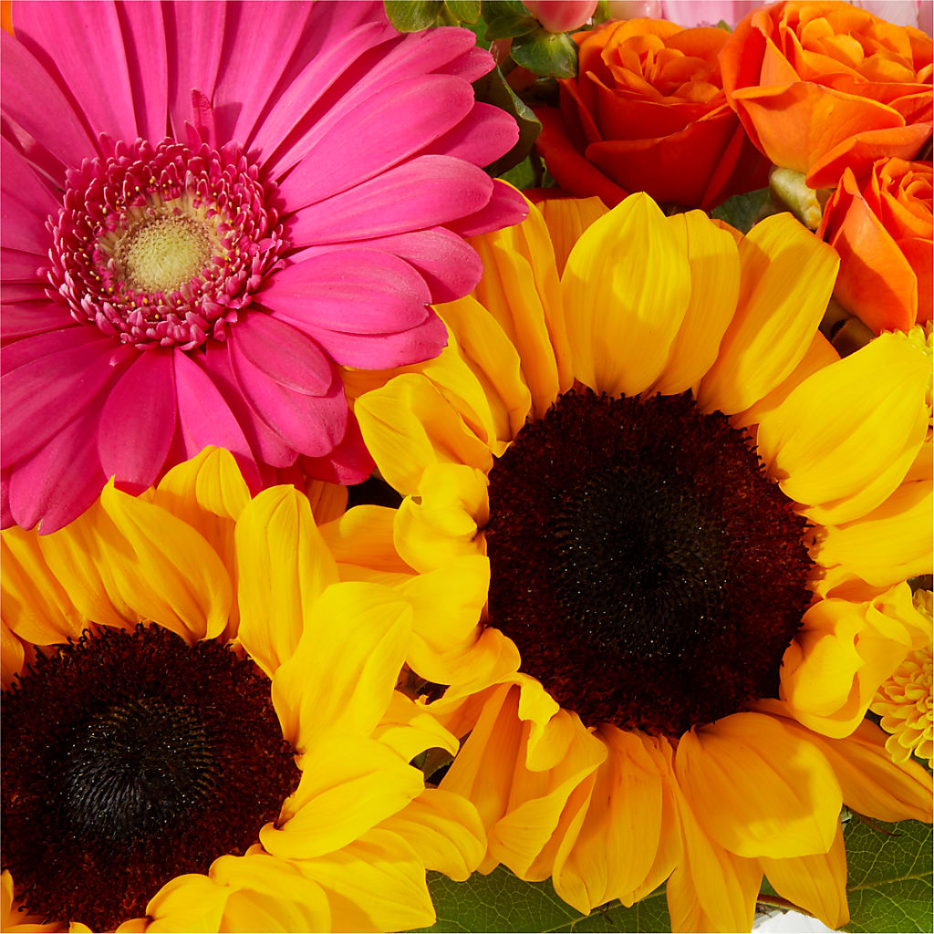 Beach Day Bouquet – THE MOST BLOOMS & MORE, Grand Bay AL