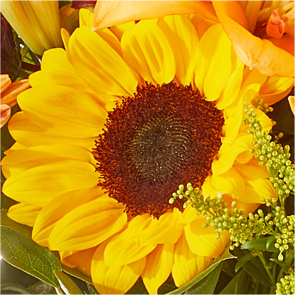 Seasons Change Bouquet – THE MOST BLOOMS & MORE, Grand Bay AL