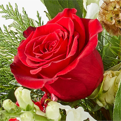 Deck the Halls Bouquet – THE MOST BLOOMS & MORE, Grand Bay AL