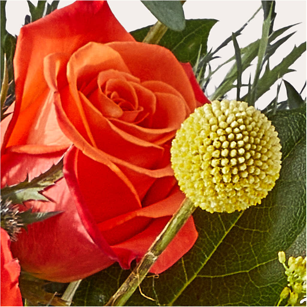 Disco Bouquet – THE MOST BLOOMS & MORE, Grand Bay AL