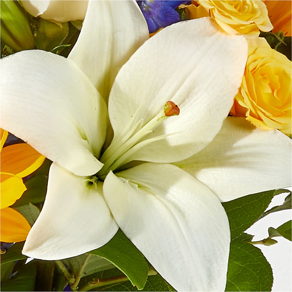 Wonderfully Sunny Bouquet – THE MOST BLOOMS & MORE, Grand Bay AL