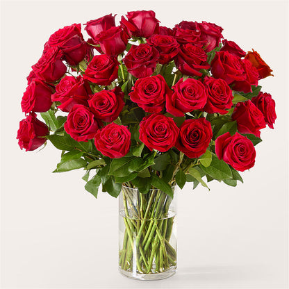 The One Red Rose Bouquet – THE MOST BLOOMS & MORE, Grand Bay AL